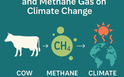 The Effect of Cow Farts and Methane Gas on Climate Change